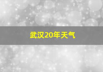 武汉20年天气