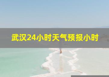 武汉24小时天气预报小时