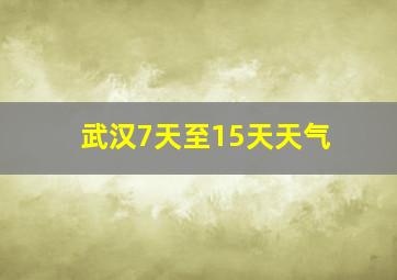 武汉7天至15天天气