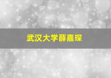 武汉大学薛嘉琛