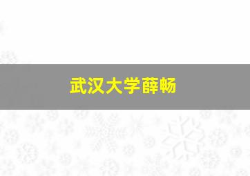 武汉大学薛畅