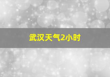 武汉天气2小时