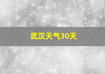 武汉天气30天