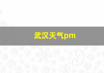 武汉天气pm