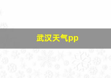 武汉天气pp