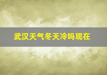 武汉天气冬天冷吗现在