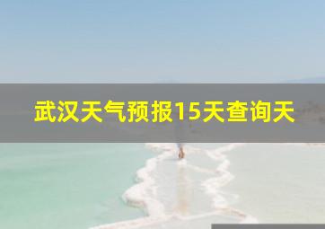 武汉天气预报15天查询天