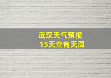 武汉天气预报15天查询天周