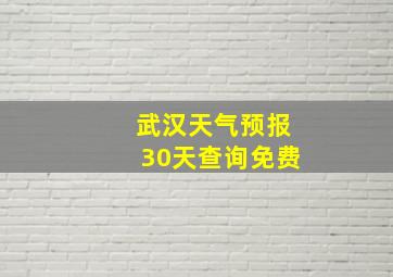 武汉天气预报30天查询免费