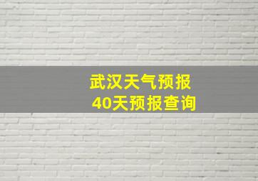 武汉天气预报40天预报查询