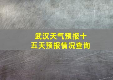 武汉天气预报十五天预报情况查询