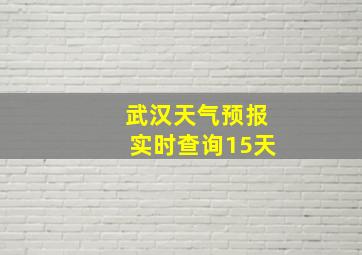 武汉天气预报实时查询15天