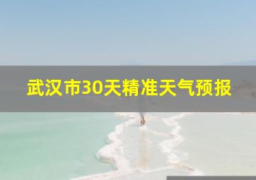 武汉市30天精准天气预报