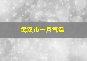 武汉市一月气温