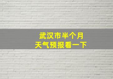 武汉市半个月天气预报看一下