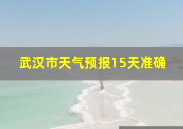 武汉市天气预报15天准确