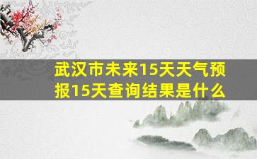 武汉市未来15天天气预报15天查询结果是什么