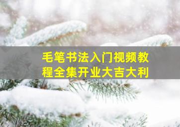 毛笔书法入门视频教程全集开业大吉大利