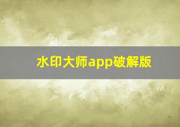 水印大师app破解版