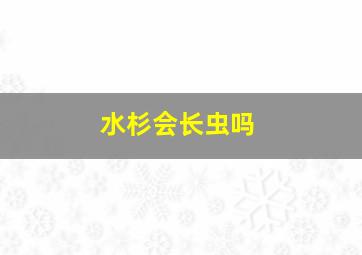 水杉会长虫吗