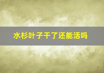 水杉叶子干了还能活吗