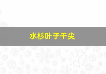 水杉叶子干尖