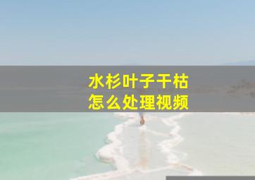 水杉叶子干枯怎么处理视频