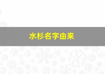 水杉名字由来