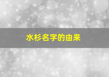 水杉名字的由来