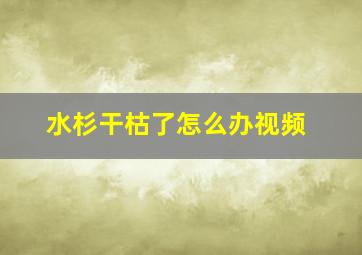 水杉干枯了怎么办视频