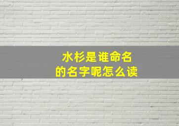 水杉是谁命名的名字呢怎么读