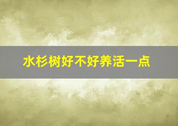 水杉树好不好养活一点