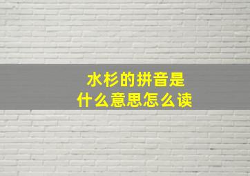 水杉的拼音是什么意思怎么读