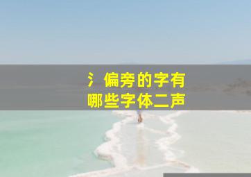 氵偏旁的字有哪些字体二声