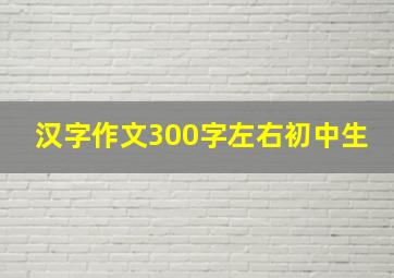 汉字作文300字左右初中生