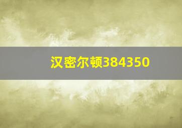 汉密尔顿384350