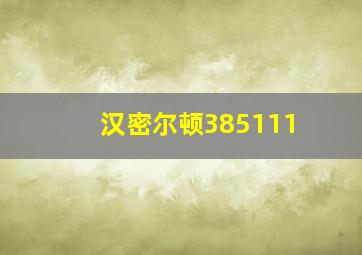 汉密尔顿385111