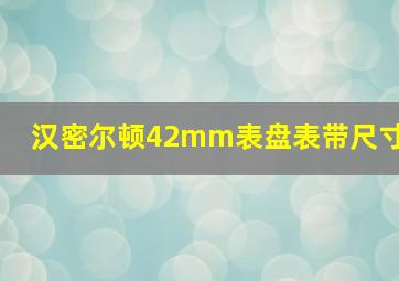 汉密尔顿42mm表盘表带尺寸