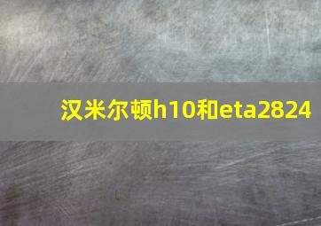 汉米尔顿h10和eta2824