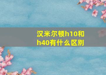 汉米尔顿h10和h40有什么区别