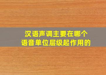 汉语声调主要在哪个语音单位层级起作用的