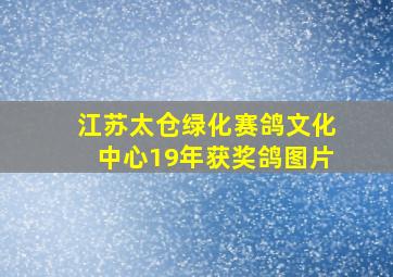 江苏太仓绿化赛鸽文化中心19年获奖鸽图片