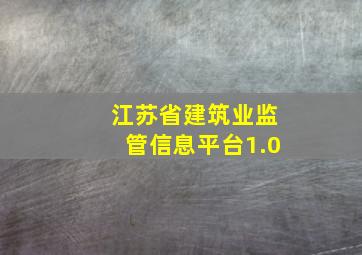 江苏省建筑业监管信息平台1.0