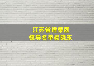 江苏省建集团领导名单杨晓东