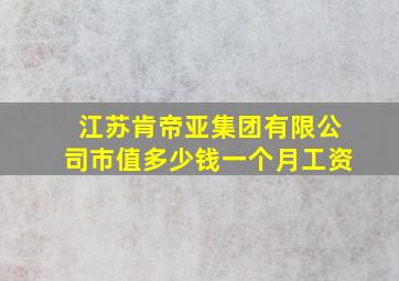 江苏肯帝亚集团有限公司市值多少钱一个月工资