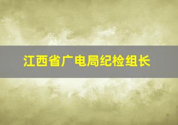 江西省广电局纪检组长