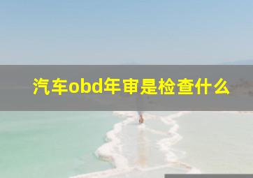 汽车obd年审是检查什么