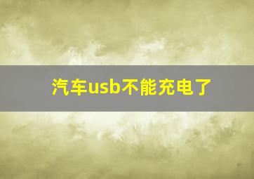 汽车usb不能充电了