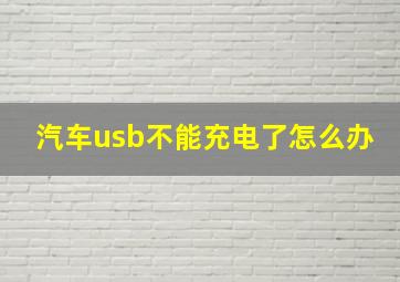 汽车usb不能充电了怎么办