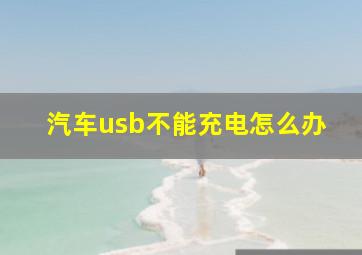 汽车usb不能充电怎么办